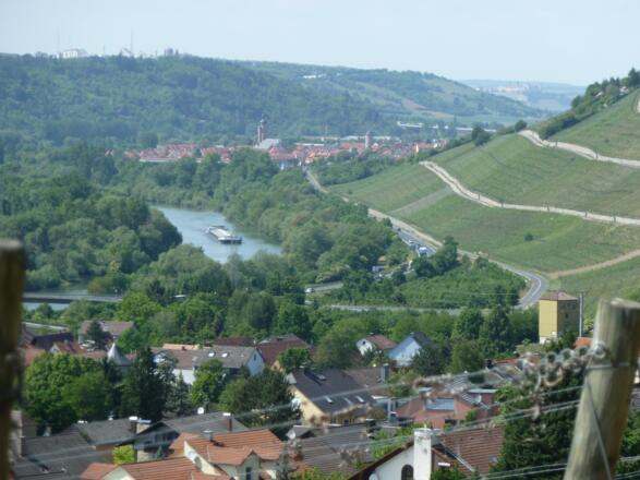 Oberhalb von Sommerhausen auf dem Panoramaweg