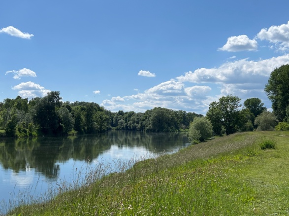 Lechmündung in Donau