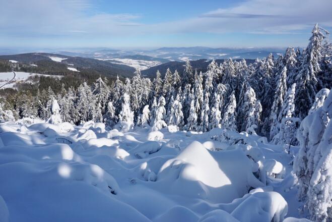 Blick von der Käsplatten-Nordseite zum Schwarzkopf und Hohen Bogen