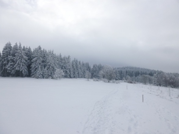 Wegstück am Ende vor der Wacholderheide
