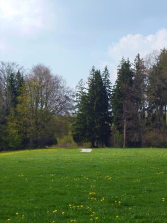 Über saftig grüne Wiesen schlängelt sich der Weg am Naturschutzgebiet Schwarzlaichmoor entlang.