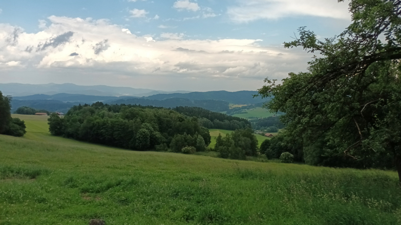 Blick zu den Arbergipfeln bei Waldhof