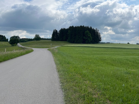 Lechradweg Hohenfurch Richtung Kinsau