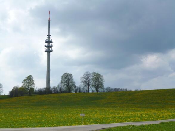 Stets den Fernsehturm im Blick, folgt man dem Weg an Oberschwaig vorbei in Richtung Wieser.