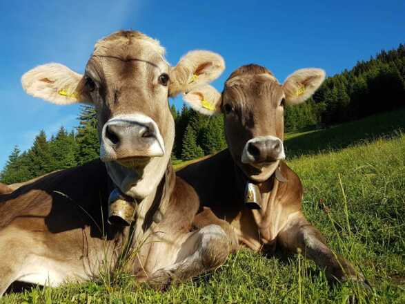 Einfach mal relaxen!