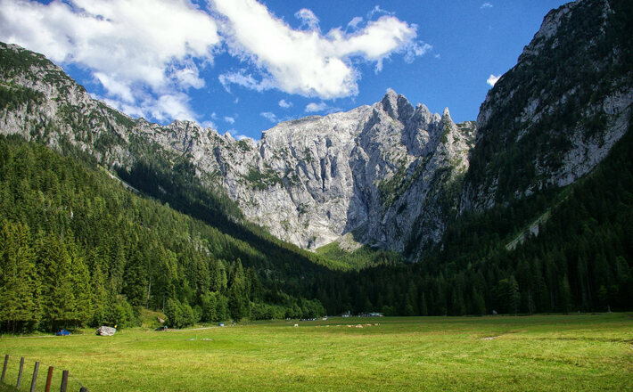 Scharitzkehl