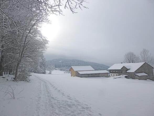 Anwesen am Waldrand in Ahornwies mit Blick zum Pröller