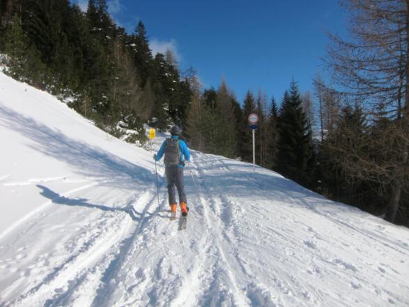 gleich dahinter rechts auf den Almweg