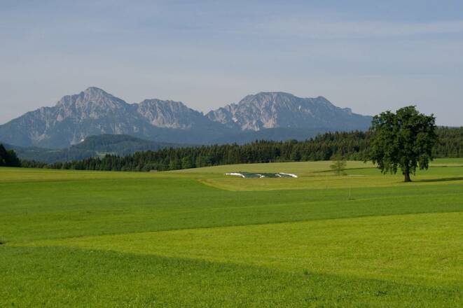 Blick auf Hochstaufen und Zwiesel