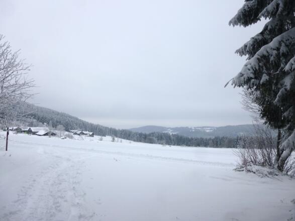 Ausblick am Waldrand in Ahornwies