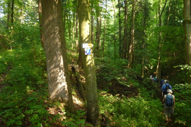 Auf dem Weg nach Rothenburg