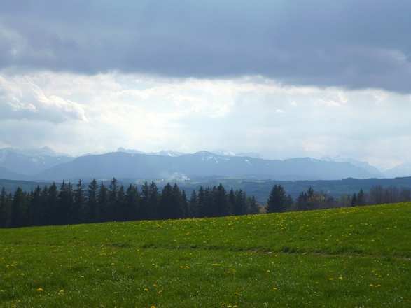 Vom Feldkreuz westlich von Oberschwaig bietet sich ein grandioser Weitblick auf die Alpenkette.
