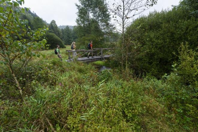 Wanderung durchs Hafenlohrtal
