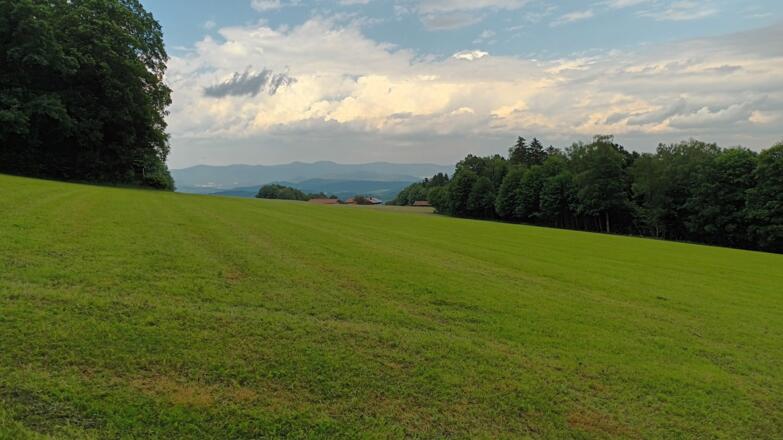 Blick zu den Arbergipfeln bei Böhmersried