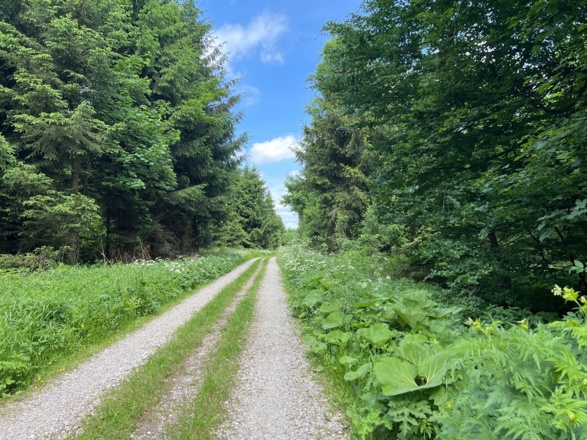 Lechradweg Stadl - Pöring