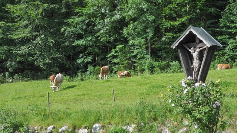 Ferienwohnung Haus Pletscherer sonnig und ruhig gelegen mit freiem Bergblick