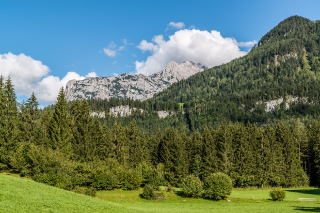 Au - Blick auf die Reither Steinberge