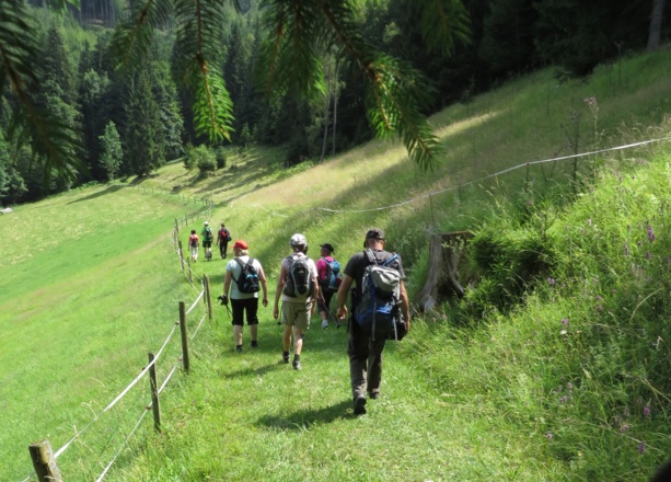 Feldweg vor Gaisriegel