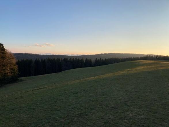 Blick zum Taubenberg