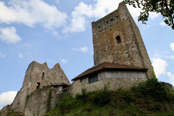 Burg Sulzberg