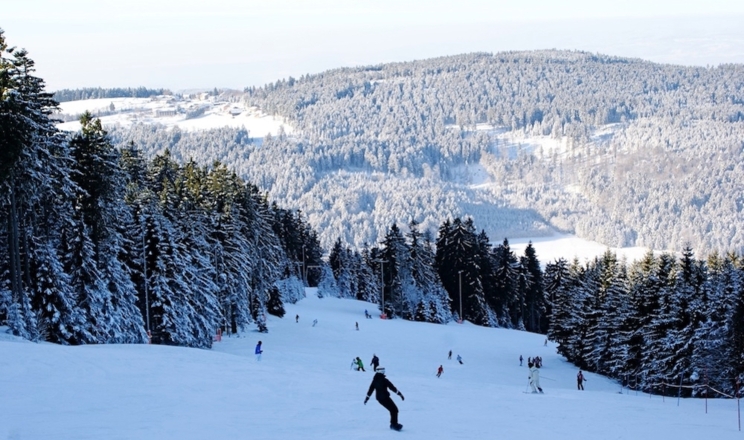 Fuchsabfahrt vom Pröller-Ski-Dreieck mit Blick nach Maibrunn