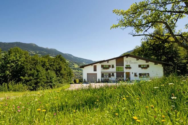 Hausansicht von oben  mit Blumenwiese