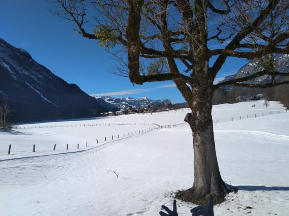 Die Landschaft beim Langlaufen genießen
