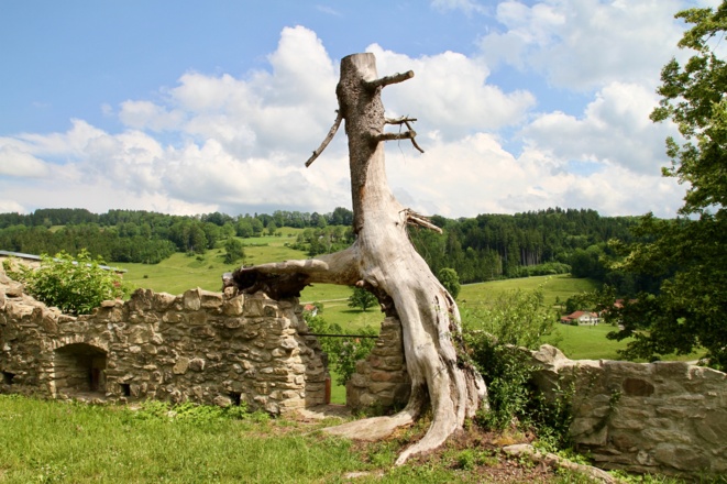 Burg Sulzberg