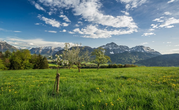 Aussichtsreich gelegene Stroblalm