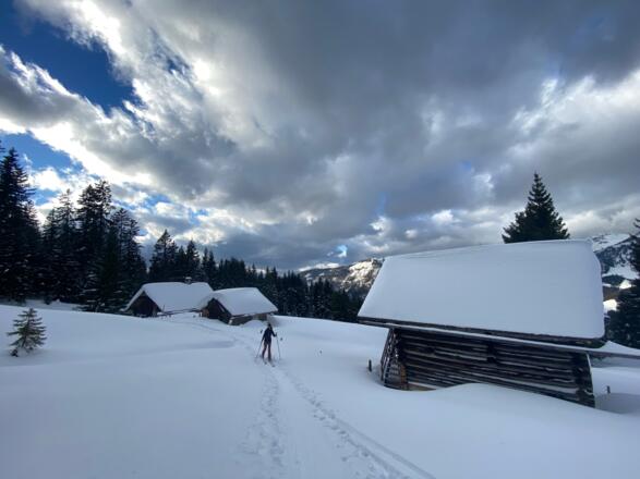 Variante Genuss über eine schöne Alm abseits der Piste