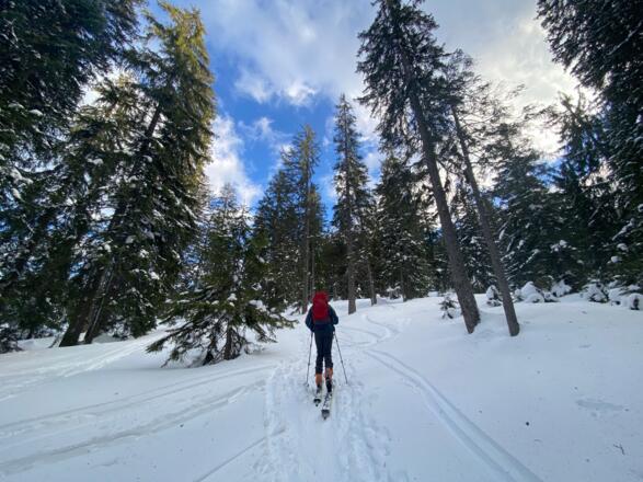 Variante Genuss im Wald