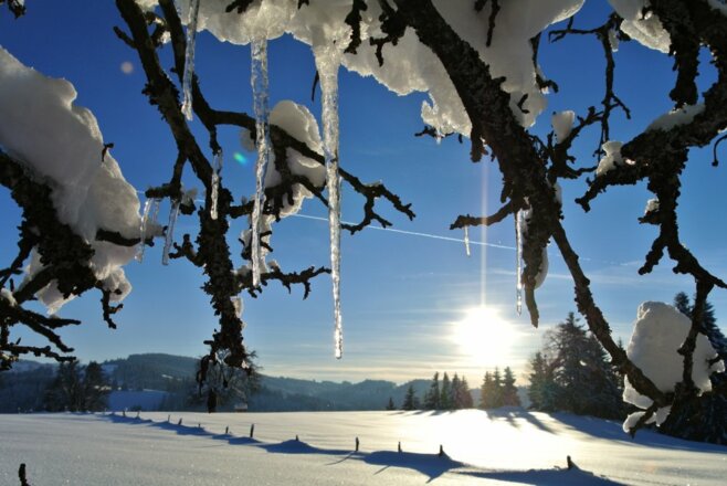 wintersonne