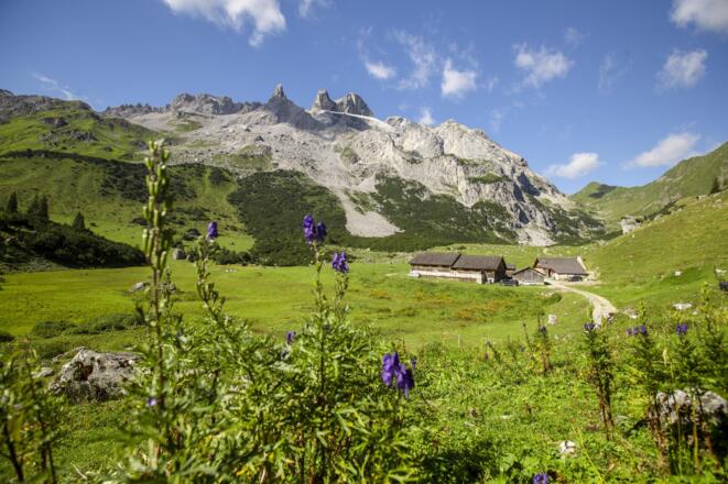 Alpe Spora (c) Stefan Kothner - Montafon Tourismus