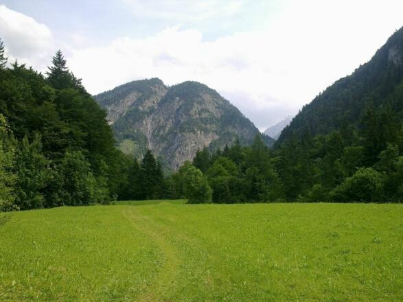 Lichtung zwischen Turnsteg und Fuchsloch