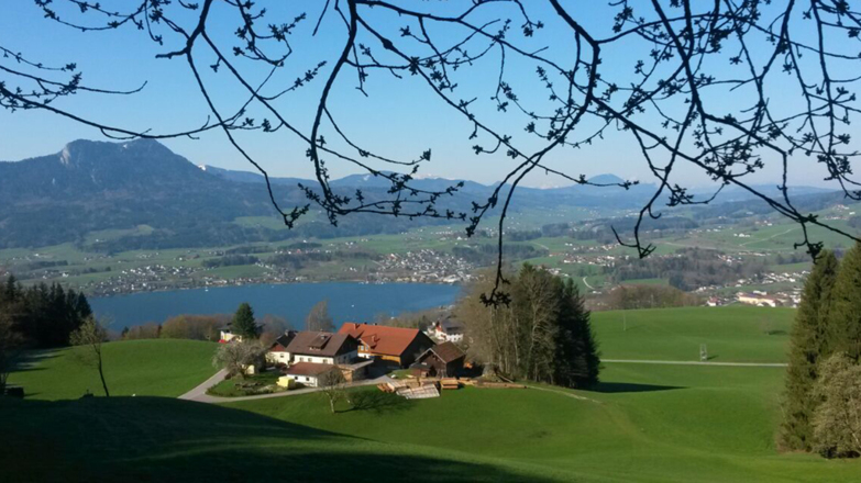 Gesundheitshof Daxinger