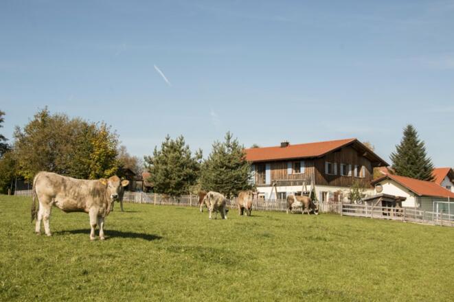 Ferienwohnung Südansicht