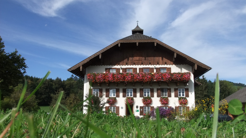 Bauernhof Hinterstrasser