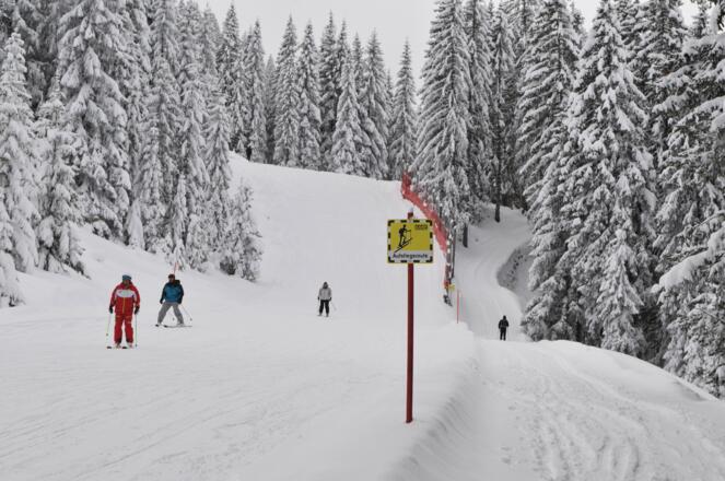 Nebeneinander von Piste und Aufstiegsroute