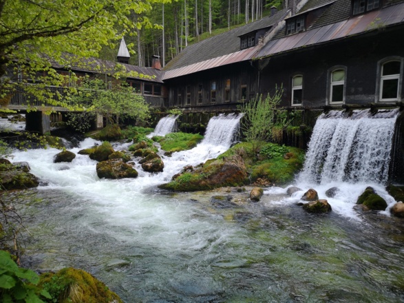 Waldhammer an der Pießling in Roßleithen
