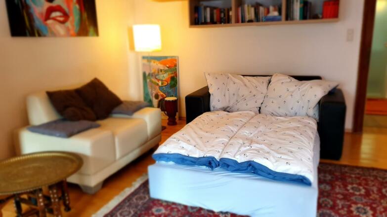 c4296f9e-38e3-493a-9cc0-94a5ff5788b7