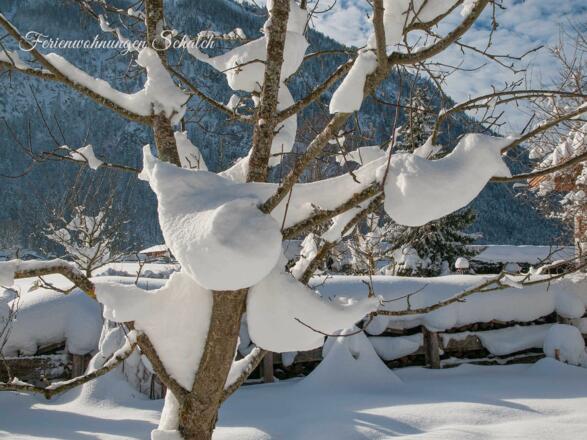 Ferienwohnungen Schalch in Rottach-Egern am Tegernsee