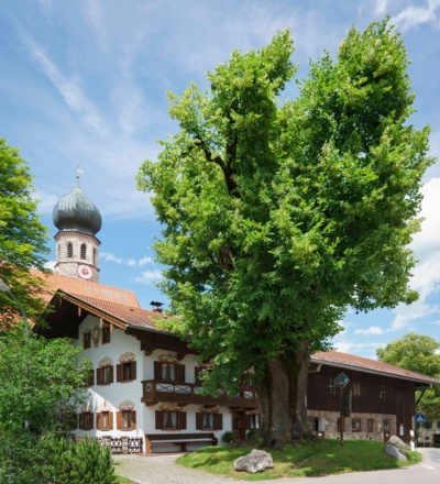 Warngau