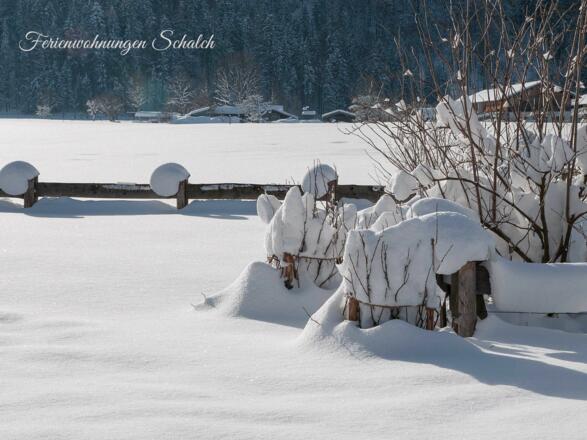 Ferienwohnungen Schalch in Rottach-Egern am Tegernsee