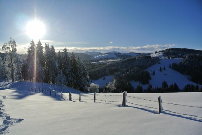 wintersonne403992