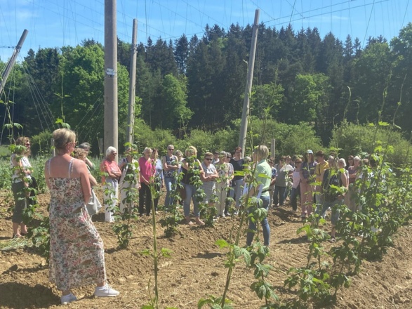 Hopfenerlebnisführung im Hopfengarten