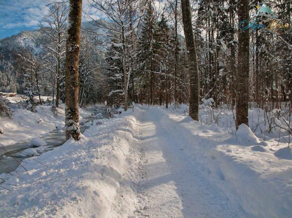 AquaMarie - Appartements, Hallenbad und Sauna