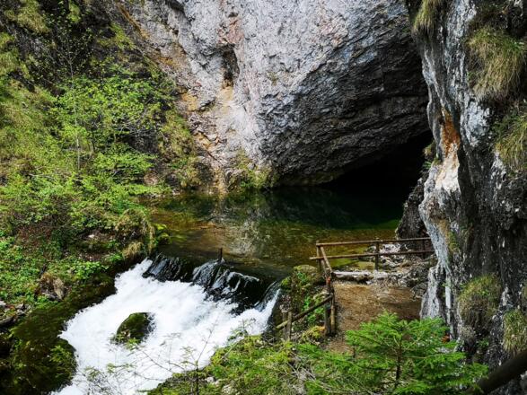 Karstquelle Pießling-Ursprung