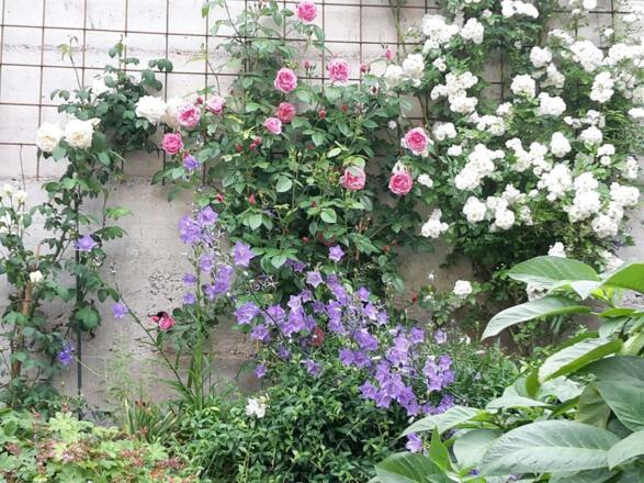 Eigener_Parkplatz_Begr%c3%bcnung