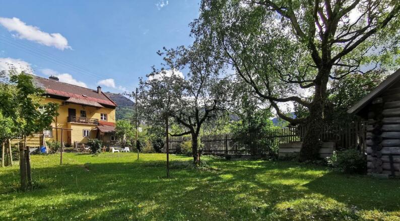 320a5894-7a17-47ad-9c3e-39e6b9d77444