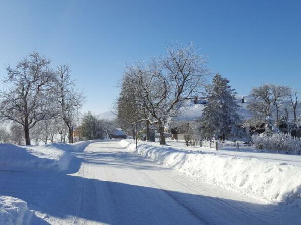 Winter auf dem Grasberg